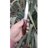 STING (СТІНҐ) ніж ручної роботи майстра Alexknifemaker, сталь N690, 60 HRC, купити замовити в Україні